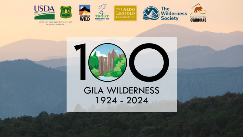 Century of Wilderness